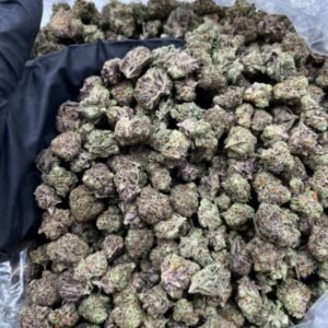 Pfund Weed Blueberry Pancake Smalls Strain kaufen – 600x800